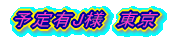 予定有J様