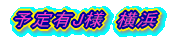 予定有J様