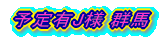 予定有J様